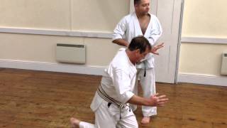 Meikyo Kata  Applications Bunkai  Oyo [upl. by Anaya274]