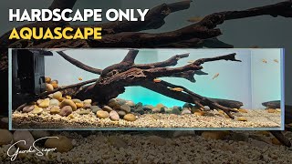 Low tech low maintenance high impact AQUASCAPE  Perfect for BEGINNERS [upl. by Saravat]