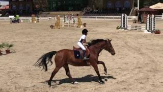 Hussains first clear round [upl. by Ezarra368]