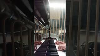 Burgmulller 25 Etudes Op 100 No 6 Progress burgmuller etude pianist [upl. by Crenshaw222]