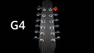 Tune Your 12 String Guitar Easy Way [upl. by Hershell]