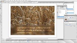 26  DTP with QuarkXPress New features in QuarkXPress 2017 [upl. by Herr394]