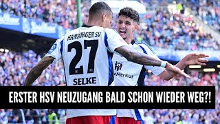 ERSTER HSV NEUZUGANG BALD SCHON WIEDER WEG [upl. by Delanty]