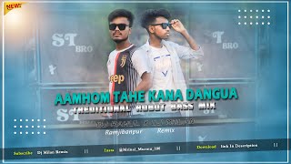 Aamhom Tahe Kana Dangua  Treditional Robot Bass Mix  Dj Milan Remix [upl. by Eema567]