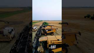 9 Combines vs Wheat Harvest [upl. by Lotte984]