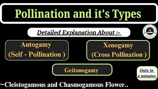 Pollination and its Types Class 12  Autogamy Geitonogamy Xenogamy Class 12 pollination [upl. by Cirala575]