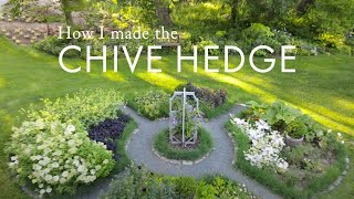 How to make a chive hedge 🌿 Edible  ornamental gardening [upl. by Hcirdeirf708]