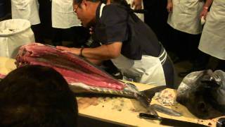 morimoto cutting up a 51kg hamachi [upl. by Wilde814]