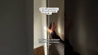 Part 1 1 Bedroom apartment in NYC is it worth renting apartmenttour realestate hometour nyc [upl. by Lamag]