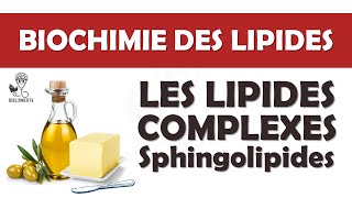 Biochimie des Lipides Complexes  Introduction aux Sphingolipides [upl. by Isis]