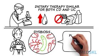 Gastroenterology  Dietary measures to lower inflammation  Whiteboard Video  Barbara Olendzk [upl. by Edison]