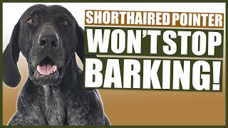 How To Stop Your GERMAN SHORTHAIRED POINTER Barking [upl. by Annotahs]