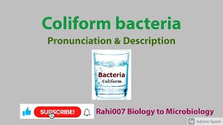 Coliform bacteria YoutubeShorts [upl. by Hadwyn936]