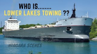 A Compendium of the Lower Lakes Towing Fleet on the Welland Canal [upl. by Llirpa]