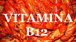 VITAMINA B12 en la dieta  funciones beneficios y alimentos ricos en vitamina B12 [upl. by Garrott199]