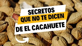 3 Razones por las que los Cacahuetes son el Secreto para una Vida más Saludable [upl. by Lotsyrk463]