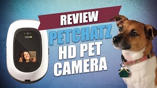 PetChatz HD Pet Camera Review [upl. by Hogan196]