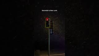 Snowfall in New York  Snowfall Season  New york Vlog newyork newyorkcity [upl. by Ula]