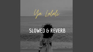 Ya Lalali Slowed amp Reverb [upl. by Sirovart]