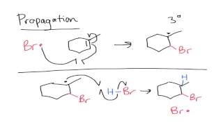 Anti Markovnikov Addition to Alkenes [upl. by Brig]