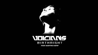 Voicians  Birthright feat Martin Harp Celldweller Cover [upl. by Nuj]