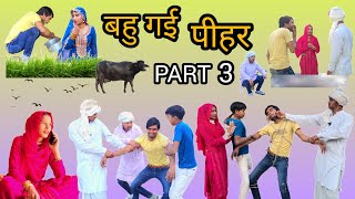 बहु गई पीहर  PART 3  mewativideo mewati insafmewati hakkusingariya mewaticomedy [upl. by Ashwin]