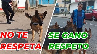 LOS PERROS RESPETAN Y OBEDECEN EL QUE APLICA ESTA TECNICA [upl. by Rather]