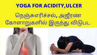 Yoga For Acidity Ulcer Acid reflex in Tamil நெஞ்சு எரிச்சலை போக்கும் யோகா By DrLakshmi Andiappan [upl. by Pearle286]