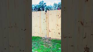 6ft dog ear fence  please subscribe to channel to support  thanksforwatching [upl. by Smoht]