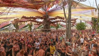 Darwish Live  OZORA festival 2016 [upl. by Conte463]