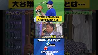 プロ野球選手が語る大谷翔平の凄さw 大谷翔平 バラエティ 千鳥 かまいたち 里崎智也 プロ野球 [upl. by Tichon]