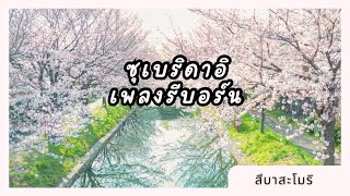 ซุเบริดาอิ  สึบาสะโมริ Suberidai  Tsubasa Mori [upl. by Celestina]