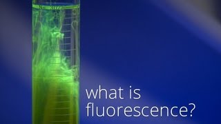 What is Fluorescence [upl. by Macmahon]