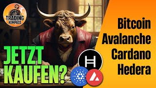 Bitcoin BTC Hedera HBAR Cadano ADA Avalanche AVAX  Technische Analyse amp Preisziele [upl. by Publius]