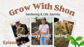 Cherimoya Fruit Tasting [upl. by Alahs]