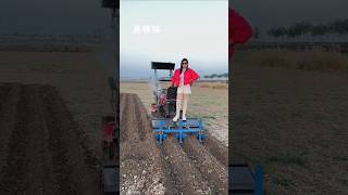 Multifunction microtillage machine Rotary tillage Orchard greenhouse management rotaryshorts [upl. by Rockel37]