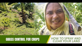 Grass Control for Crops How to Spray and Clear Your Land [upl. by Ydissahc]