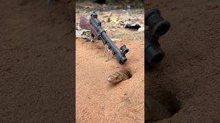 DIY Snake Trap using Gun diy trap snake snaketrap animals wildlife pitfall shorts [upl. by Elleon]