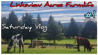 Saturday Work Vlog Life On The Linksview Acres Farmlet Vlog 1 [upl. by Ailey]