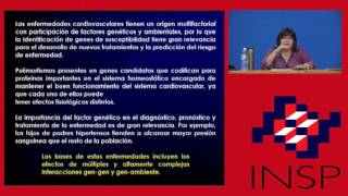 Riesgo cardiometabólico Una constelación de factores de riesgo clásicos y emergentes [upl. by Madigan371]