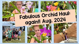 Fabulous orchid haul from our local fair [upl. by Ayahsal]