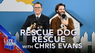 Rescue Dog Rescue with Chris Evans [upl. by Silverman]