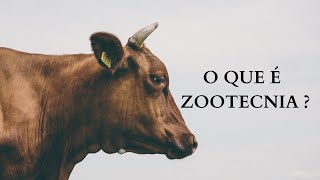 O que é ZOOTECNIA [upl. by Byrann]