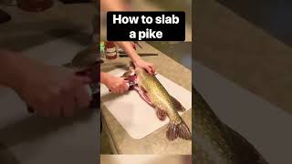 How to fillet a NORTHERN PIKE Part 1 of 3 fish fishing [upl. by Ricker]