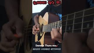 Danena thuru maa  දැනෙනා තුරු මා  Guitar Cover by Ushan 🎸🎸 guitartutorial sahomusicstudio [upl. by Amled154]