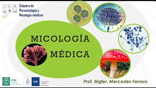 MICOLOGÍA MÉDICA [upl. by Sel]