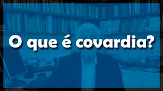 O que é covardia  Flávio Gikovate [upl. by Ninette11]