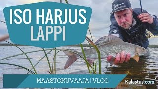 Paluu harrijärvelle  Lapissa kalassa [upl. by Audry]