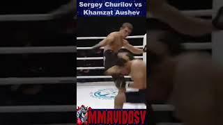 TKO Punches GnP ProFC 36  Sergey Churilov vs Khamzat Aushev ProFC mma TKO [upl. by Dew802]