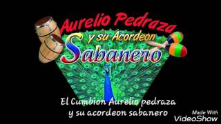 OficialEl Cumbion Aurelio pedraza y su acordeon sabanero [upl. by Eddana516]